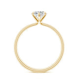 18K Yellow Gold Vermeil