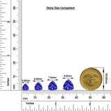 Trillion Tanzanite Solitaire Stud Earrings size chart